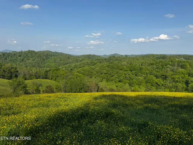 $495,000 | Baltimore Road, Washburn, TN 37888