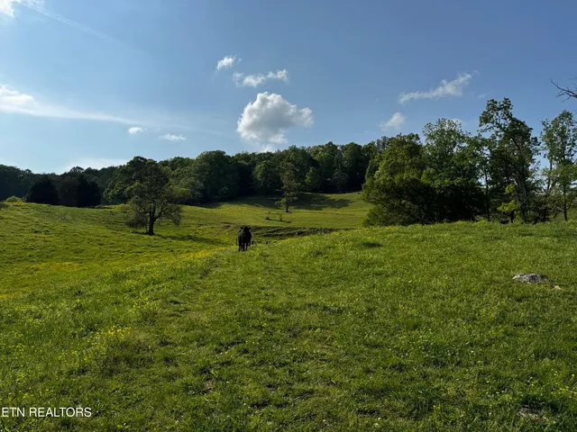 $495,000 | Baltimore Road, Washburn, TN 37888