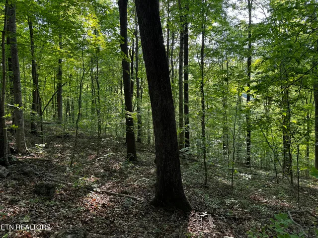 $495,000 | Baltimore Road, Washburn, TN 37888