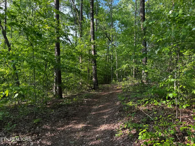 $495,000 | Baltimore Road, Washburn, TN 37888