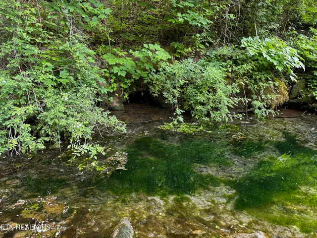 $495,000 | Baltimore Road, Washburn, TN 37888