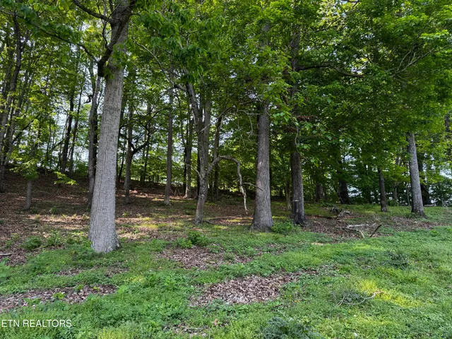 $495,000 | Baltimore Road, Washburn, TN 37888