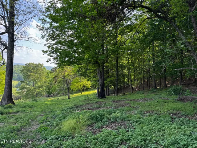 $495,000 | Baltimore Road, Washburn, TN 37888