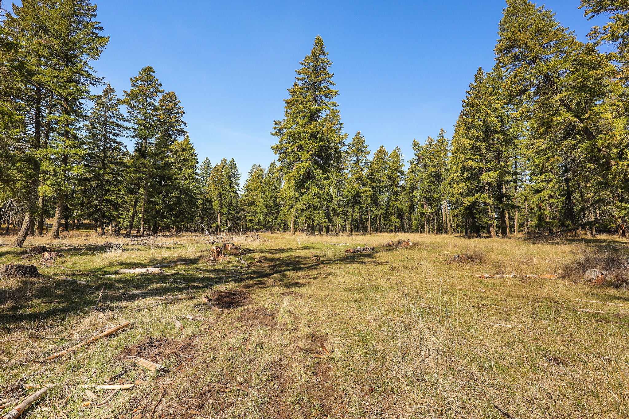 784 Plvid Road Eureka, MT 59917 - Photo 22 of 50 Gallery Image 22