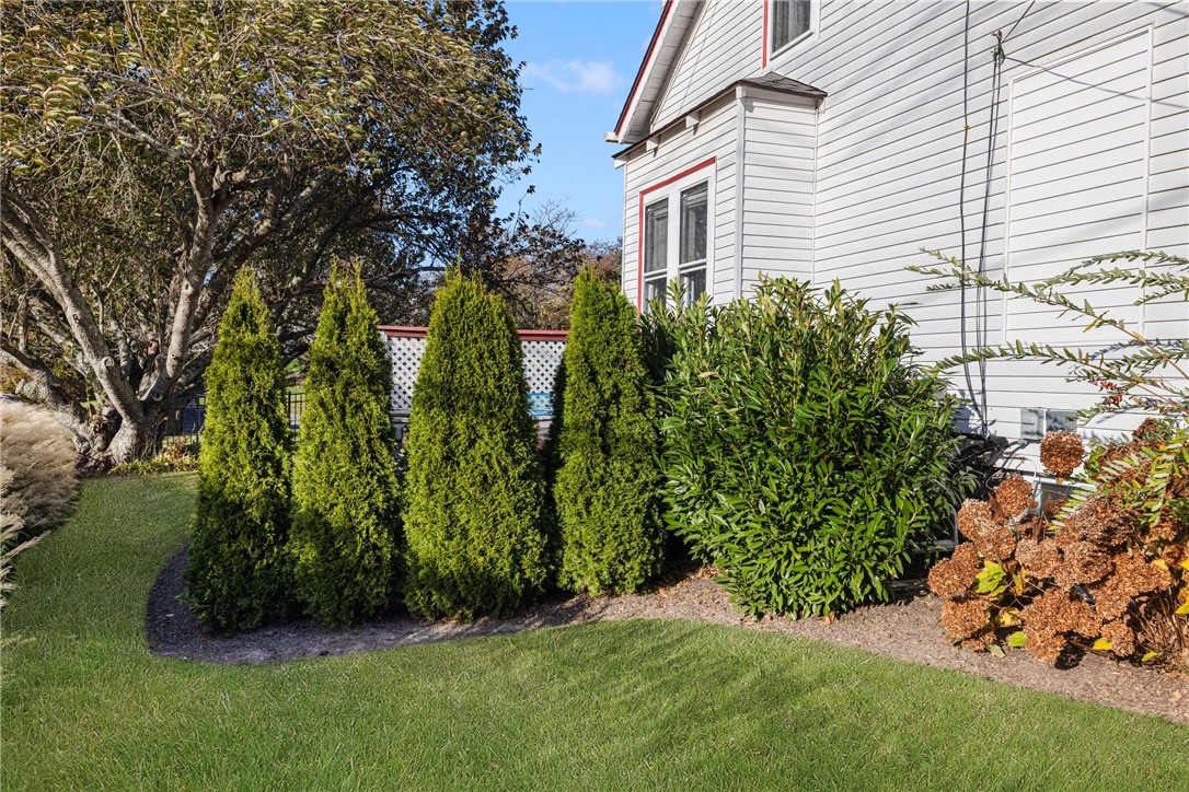 299 Prospect Avenue Middletown, RI 02842 - Photo 38 of 47 The grass has been enhanced