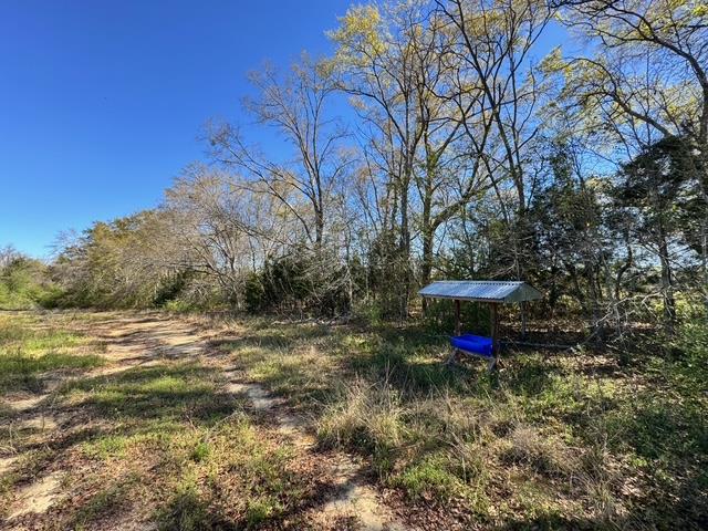0 Macedonia Ch Road Columbia, AL 36319 - Photo 17 of 61