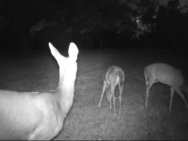 $579,000 | 11116 Seeman Road, Huntley, IL 60142