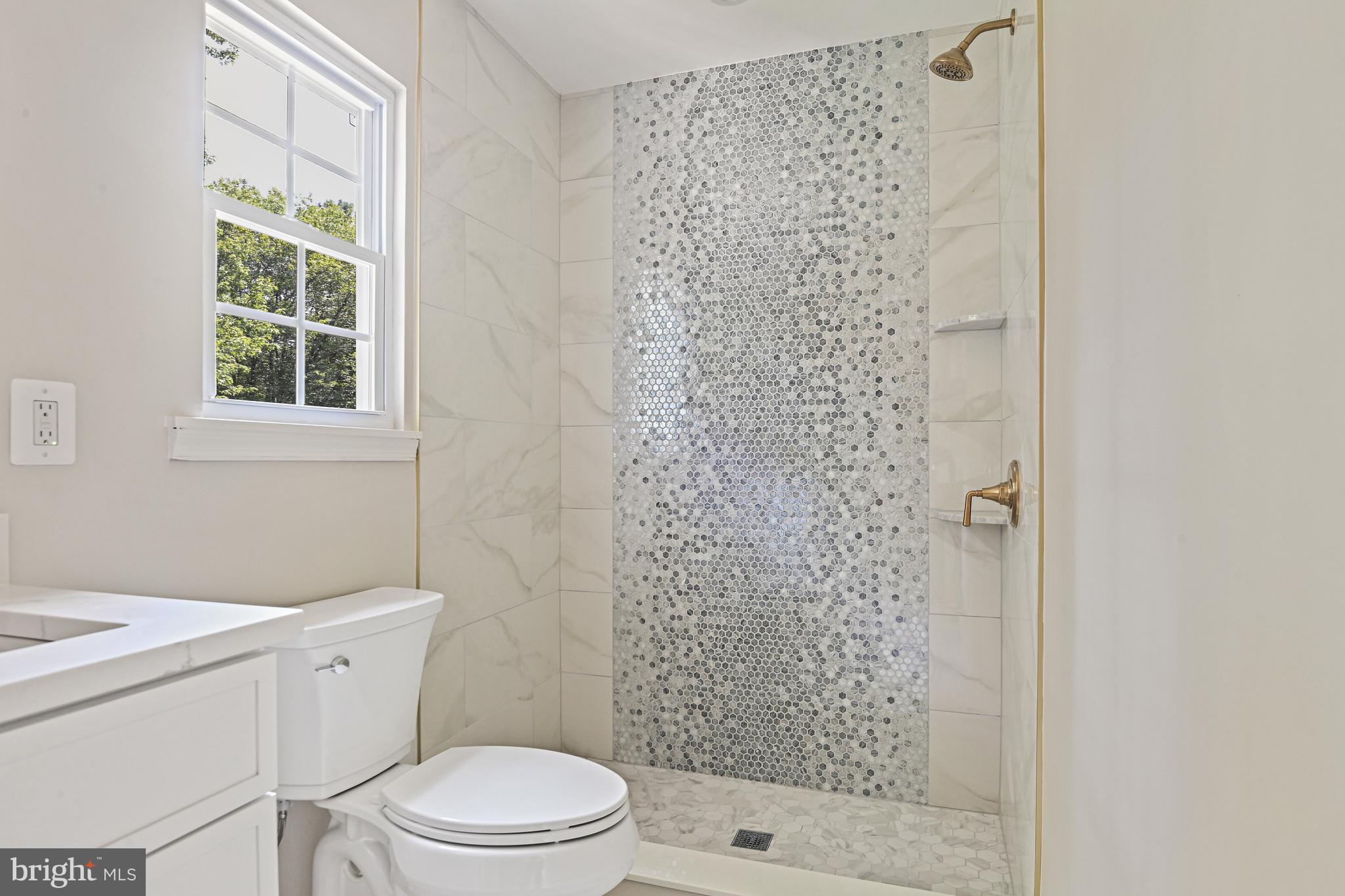 9060 Brook Ford Road Burke, VA 22015 - Photo 27 of 56 a white toilet sitting next to a shower