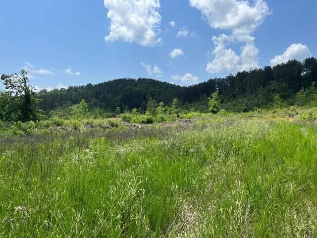 0 County Road, Unit 53 Athens, TN 37303 - Photo 2 of 3 20240423005928860250000000-o