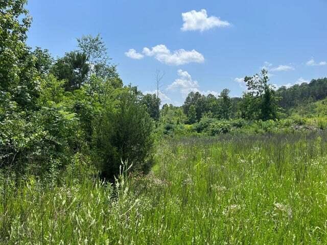0 County Road, Unit 53 Athens, TN 37303 - Photo 3 of 3 20240423005929326325000000-o