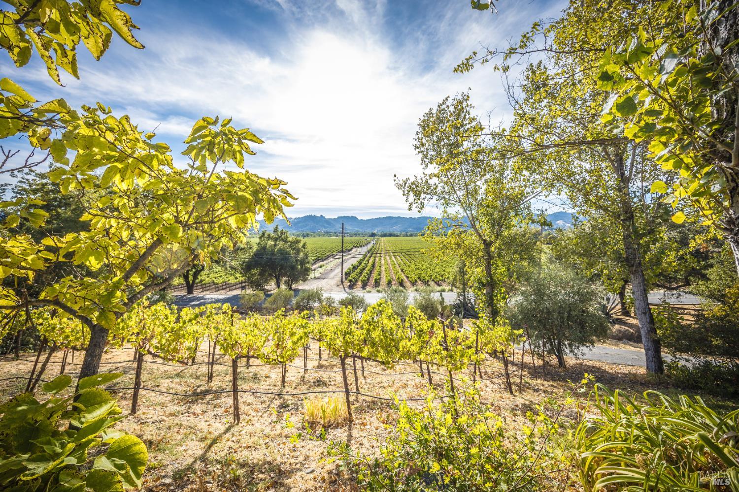 28678 River Road Cloverdale, CA 95425 - Photo 11 of 36 a view of a garden