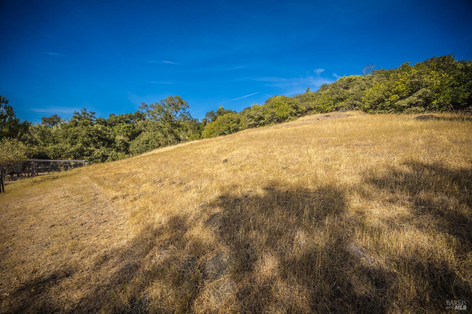 28678 River Road Cloverdale, CA 95425 - Photo 13 of 36 a view of a dry yard