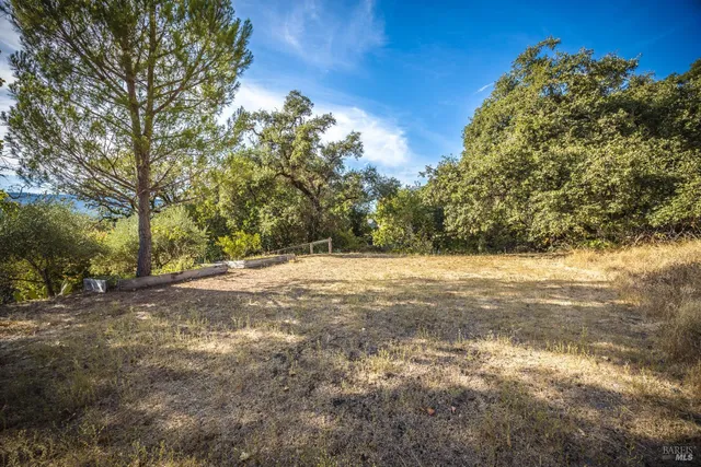 a view of a backyard
