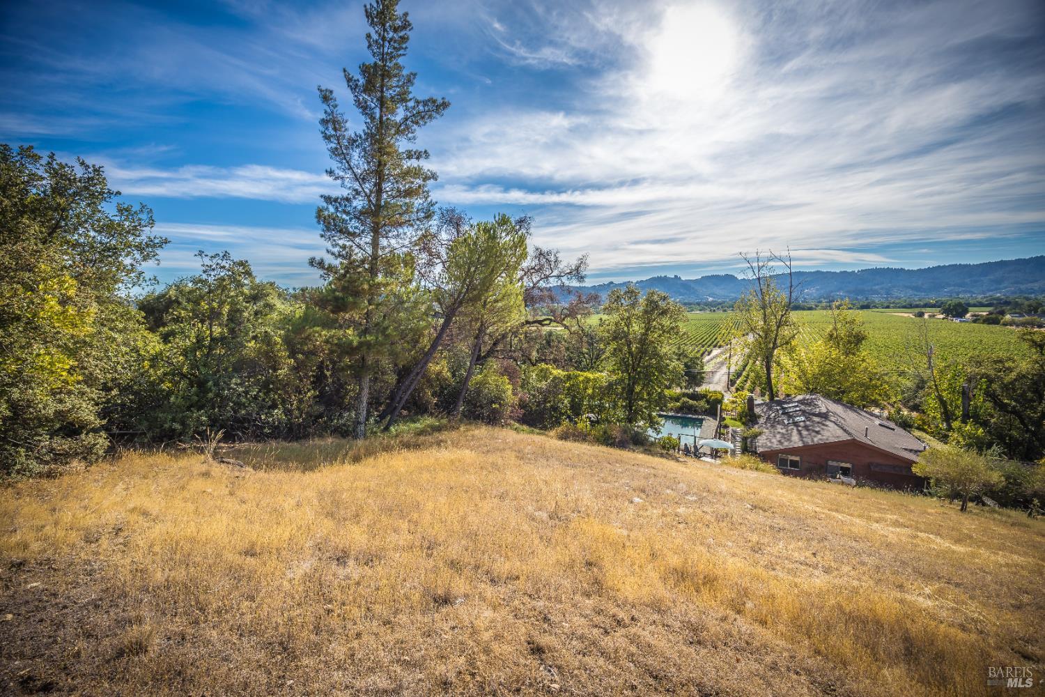 28678 River Road Cloverdale, CA 95425 - Photo 35 of 36 a view of a yard with a trees