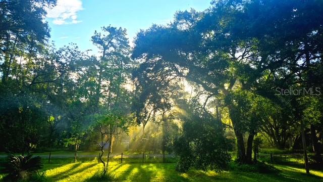 5043 Goodwin Road Brooksville, FL 34601 - Photo 3 of 47