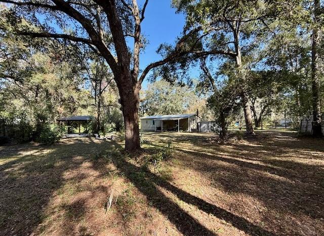 5043 Goodwin Road Brooksville, FL 34601 - Photo 31 of 47 a view of a backyard with large trees