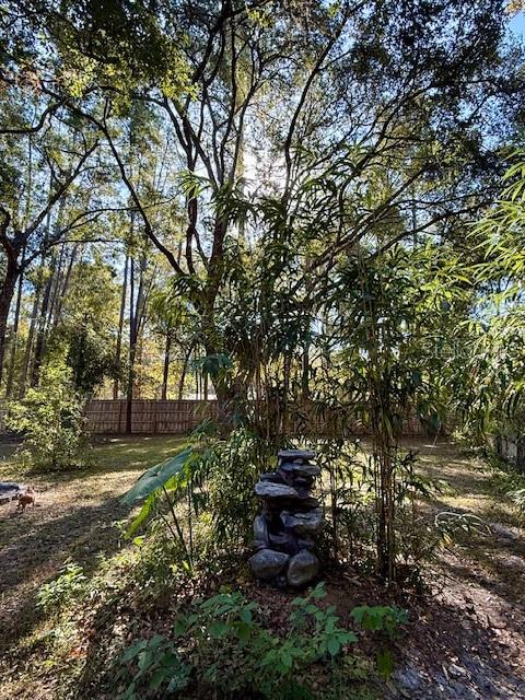 5043 Goodwin Road Brooksville, FL 34601 - Photo 32 of 47 a view of backyard with green space
