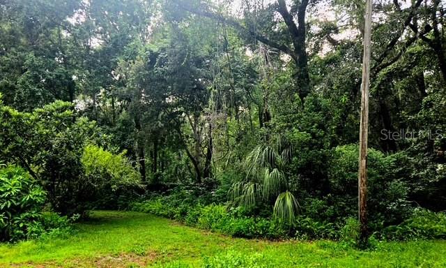 5043 Goodwin Road Brooksville, FL 34601 - Photo 40 of 47 a view of a yard