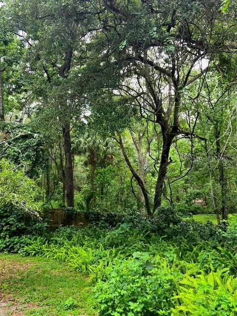 5043 Goodwin Road Brooksville, FL 34601 - Photo 42 of 47 a view of a garden