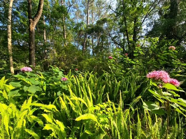 5043 Goodwin Road Brooksville, FL 34601 - Photo 45 of 47 a small yard with lots of flowers
