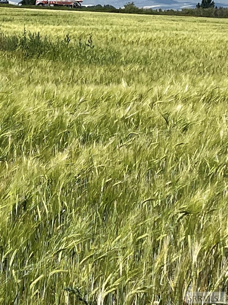 222 West Moody Road Rexburg, ID 83440 - Photo 18 of 18