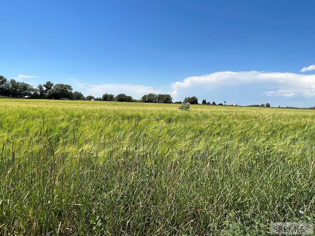 222 West Moody Road Rexburg, ID 83440 - Photo 4 of 18