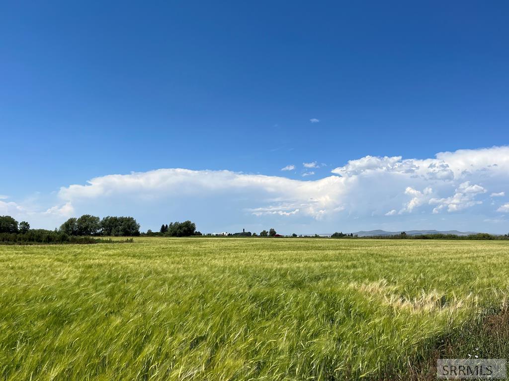 222 West Moody Road Rexburg, ID 83440 - Photo 5 of 18