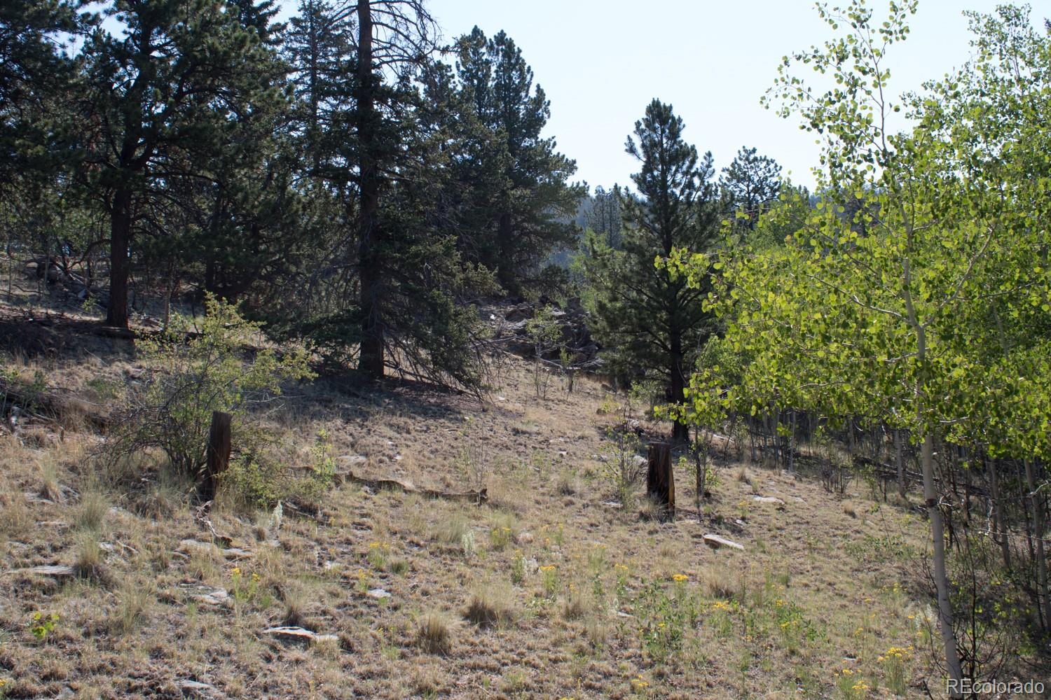 526 Quiver Road Como, CO 80456 - Photo 12 of 24 Gallery Image 12