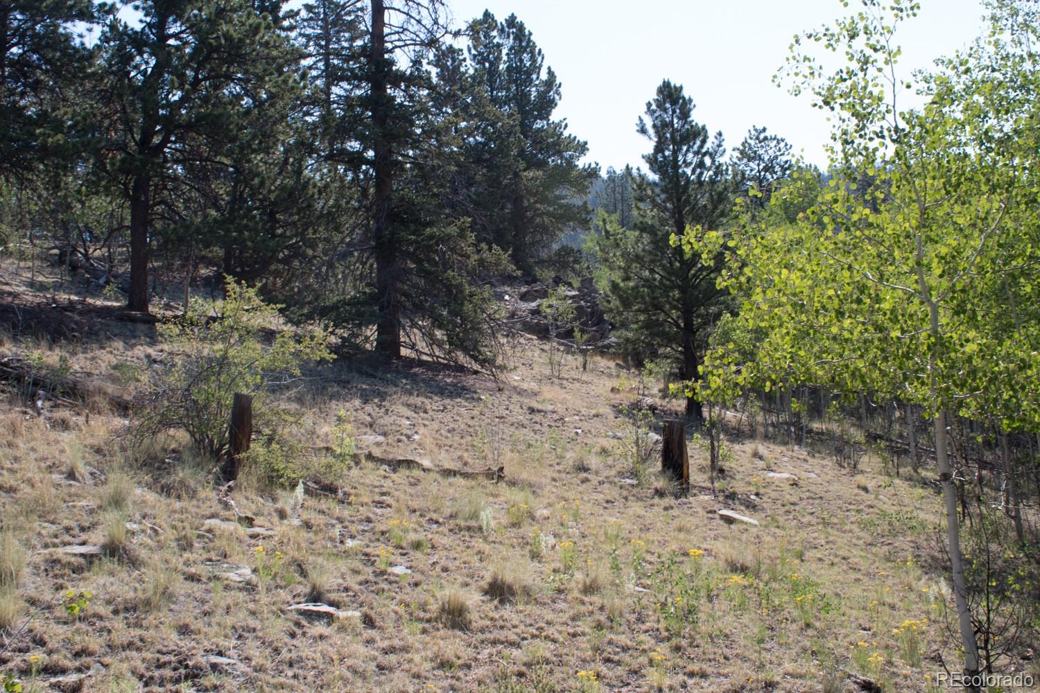 526 Quiver Road Como, CO 80456 - Photo 13 of 24 Gallery Image 13
