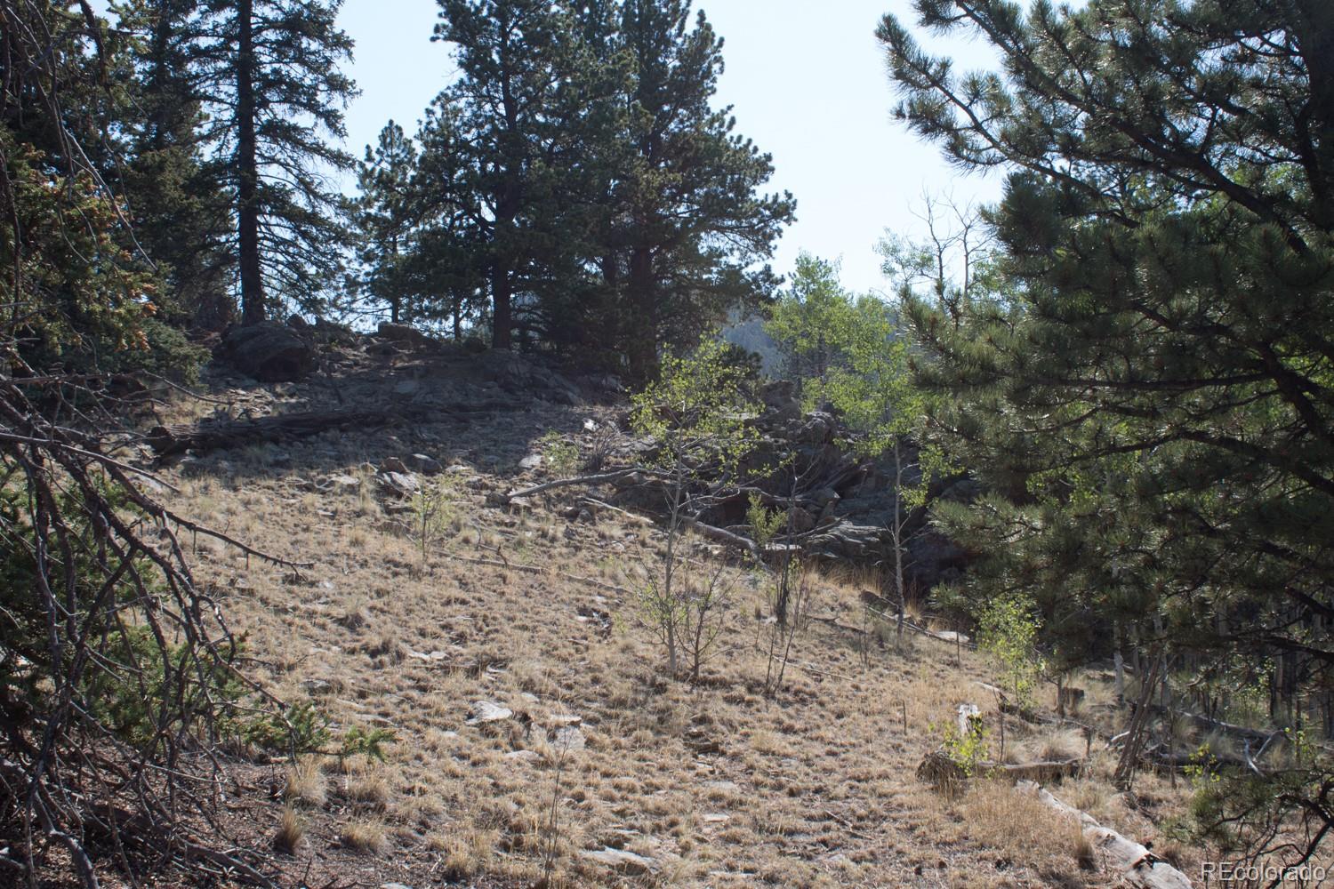 526 Quiver Road Como, CO 80456 - Photo 14 of 24 Gallery Image 14