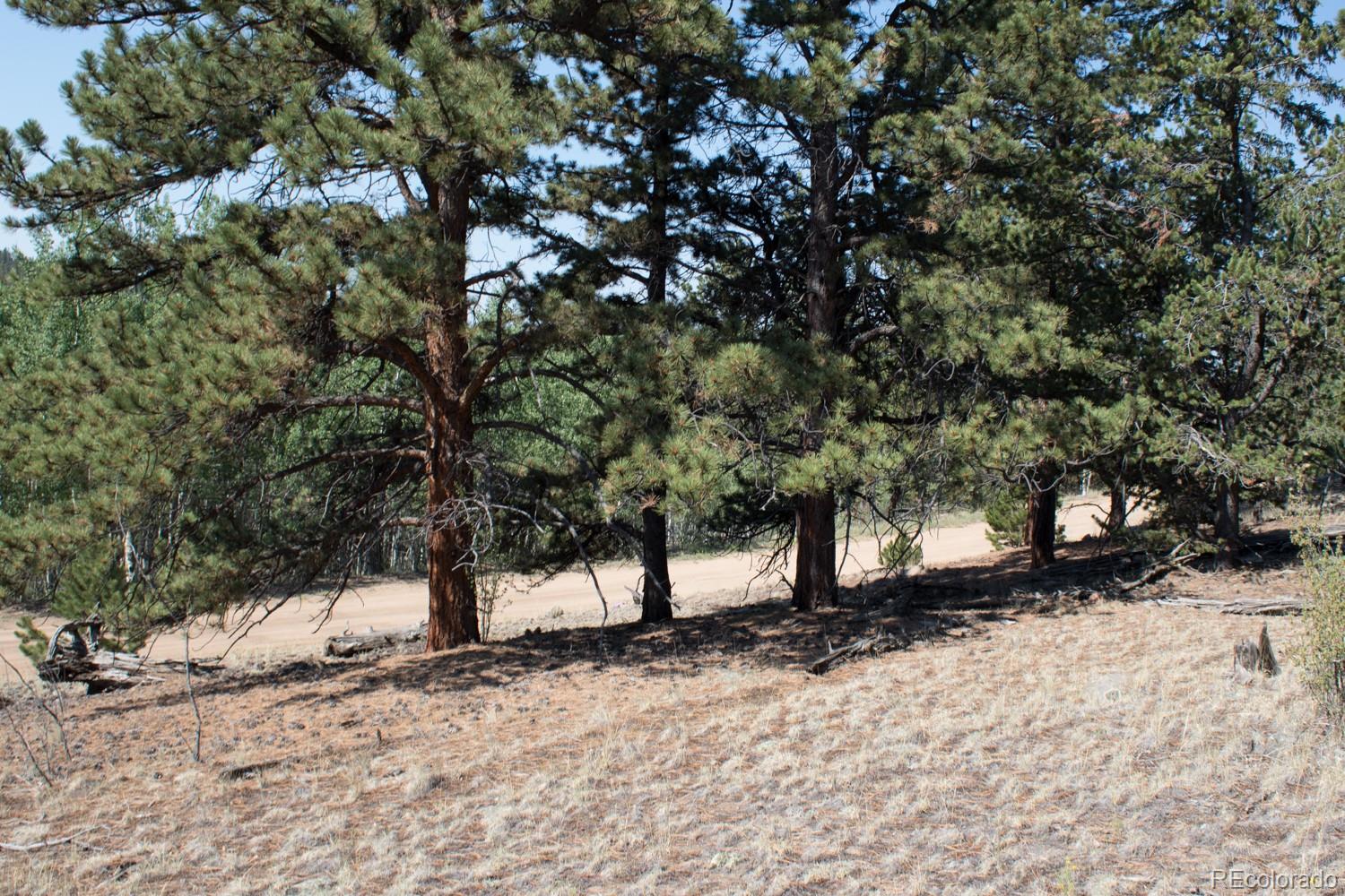 526 Quiver Road Como, CO 80456 - Photo 17 of 24 Gallery Image 17