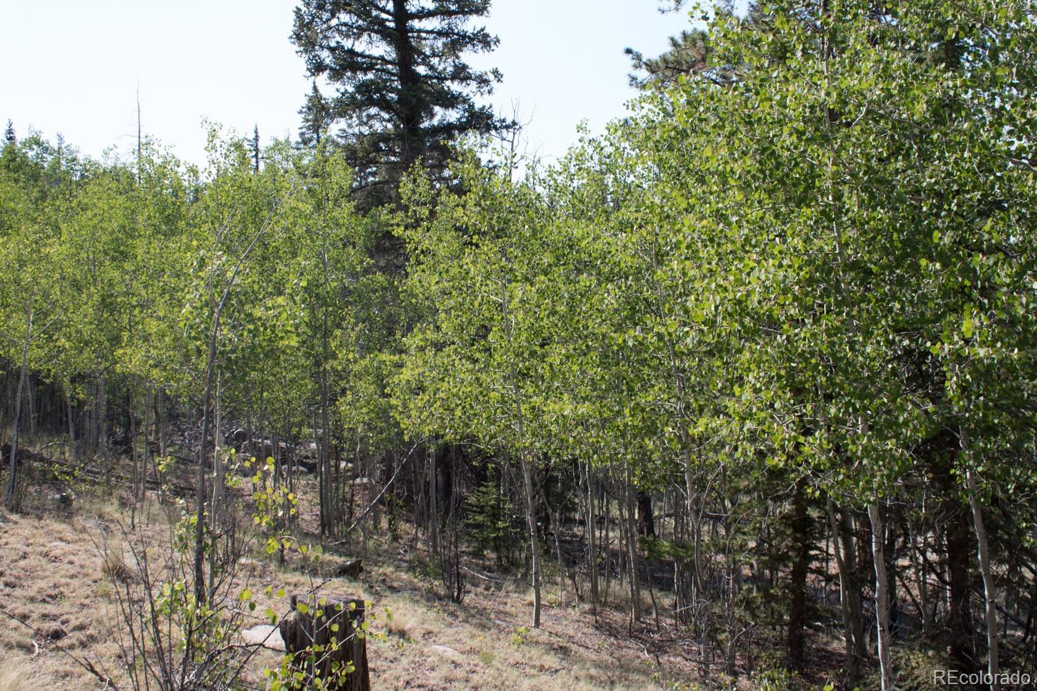 526 Quiver Road Como, CO 80456 - Photo 2 of 24 Gallery Image 2