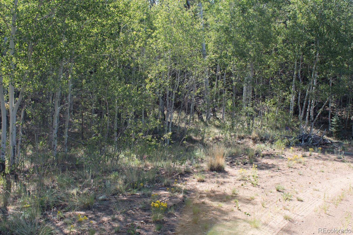 526 Quiver Road Como, CO 80456 - Photo 3 of 24 Gallery Image 3