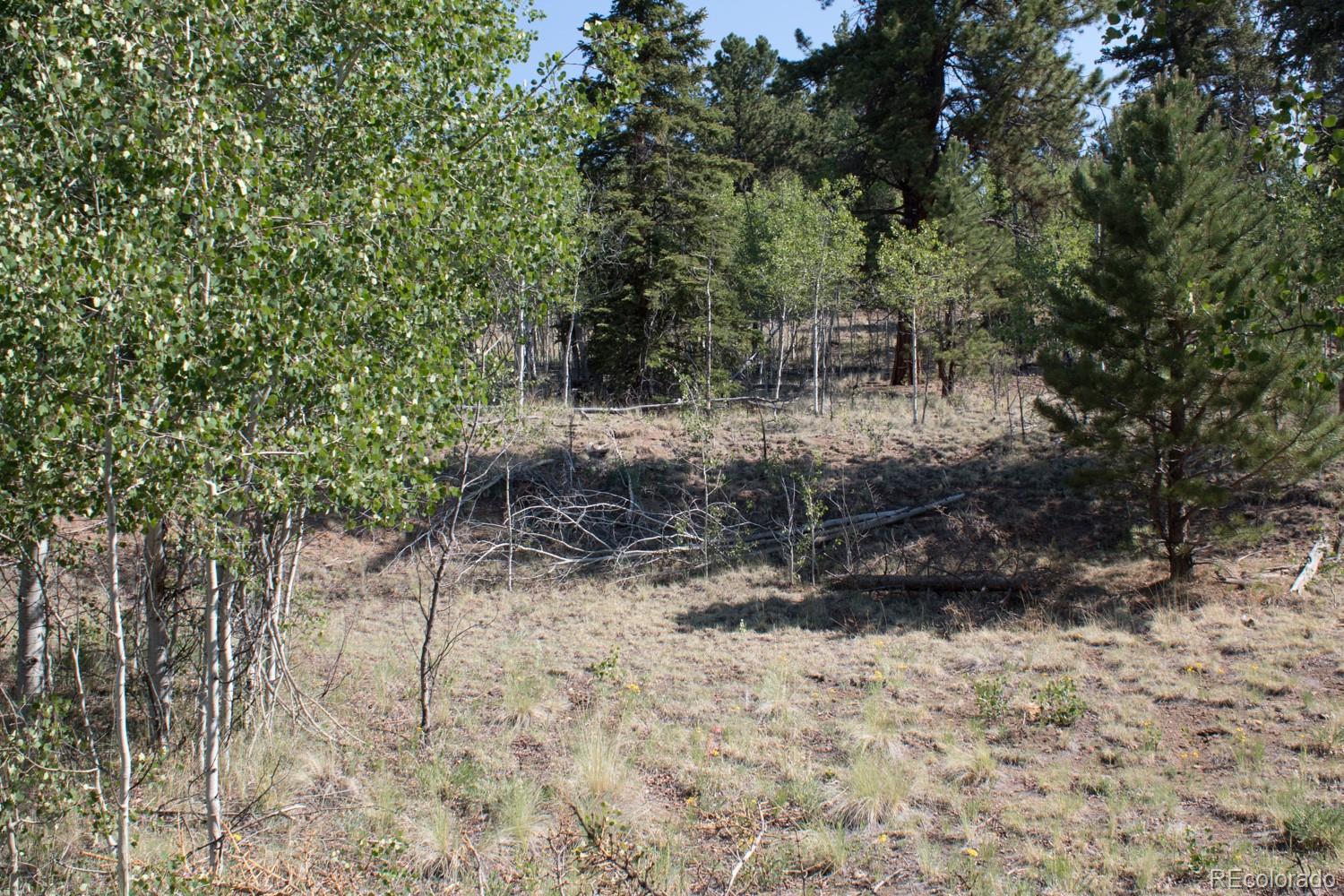 526 Quiver Road Como, CO 80456 - Photo 4 of 24 Gallery Image 4
