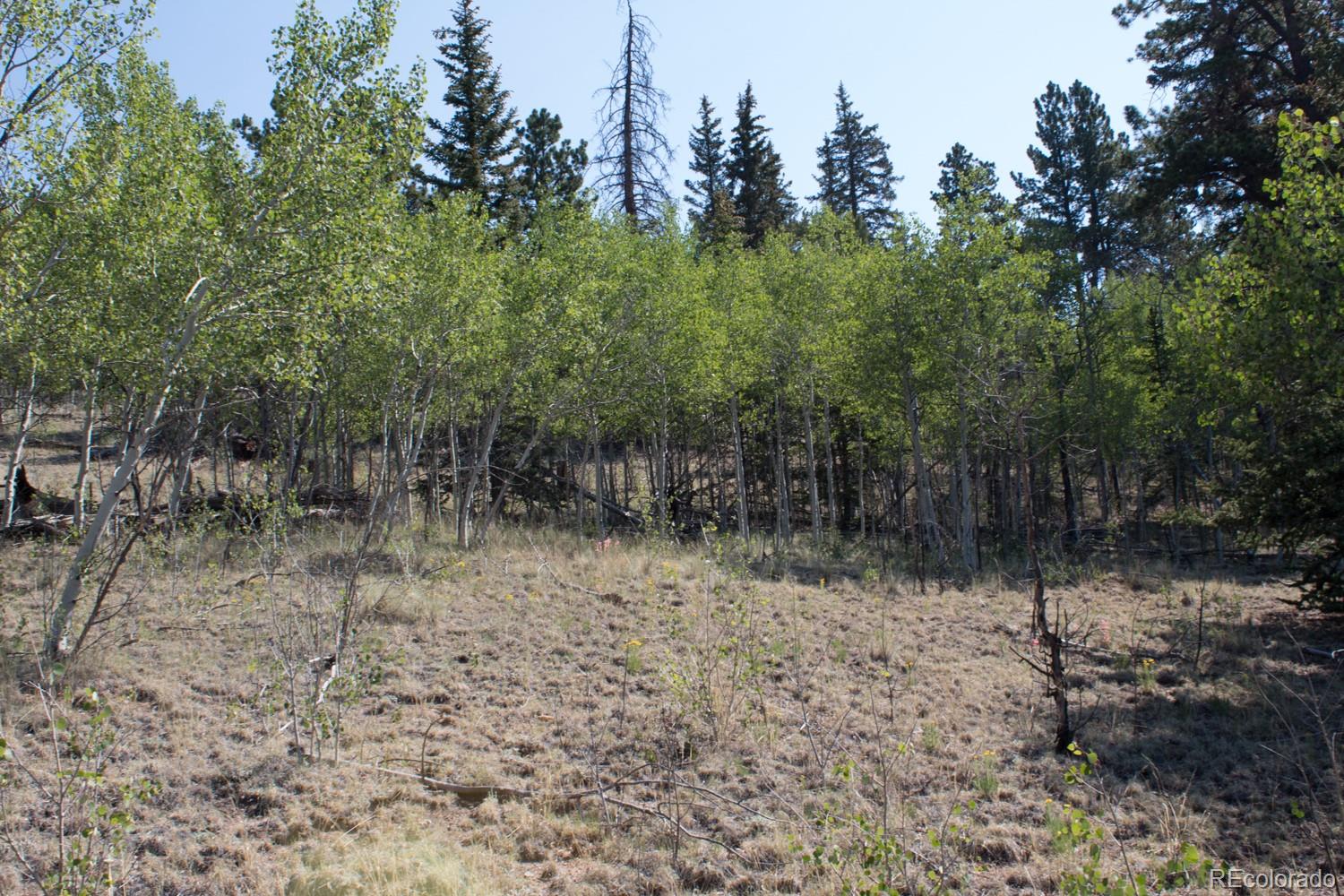526 Quiver Road Como, CO 80456 - Photo 7 of 24 Gallery Image 7