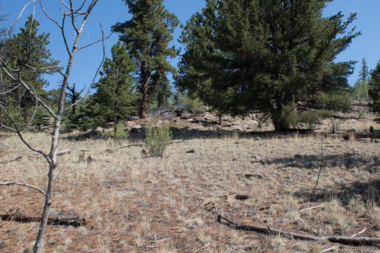526 Quiver Road Como, CO 80456 - Photo 8 of 24 Gallery Image 8
