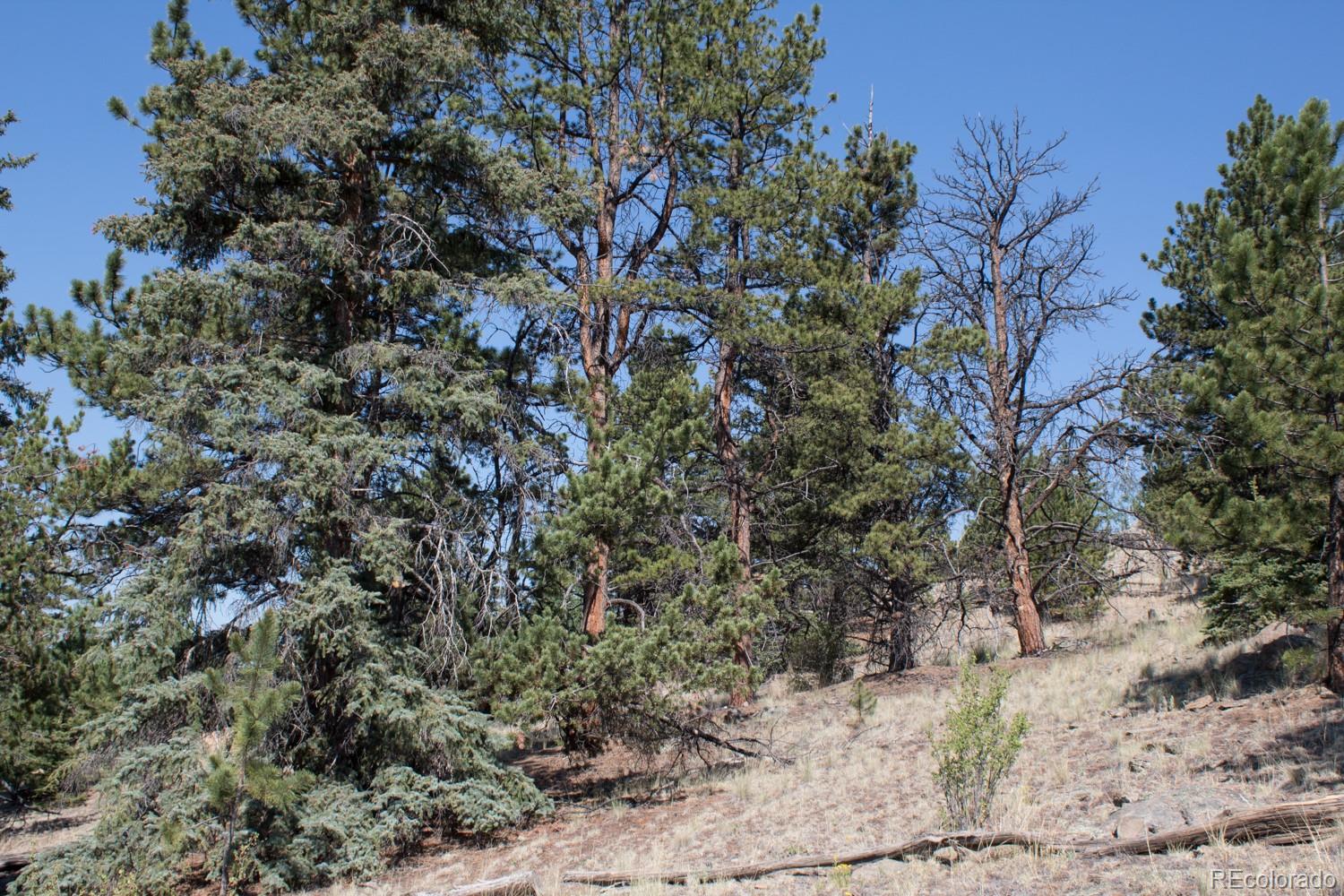 526 Quiver Road Como, CO 80456 - Photo 10 of 24 Gallery Image 10