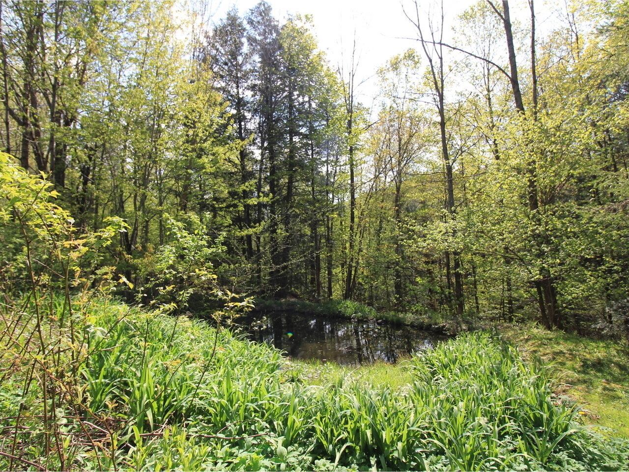 945 Dugway Road Richmond, VT 05477 - Photo 26 of 30 Gallery Image 26
