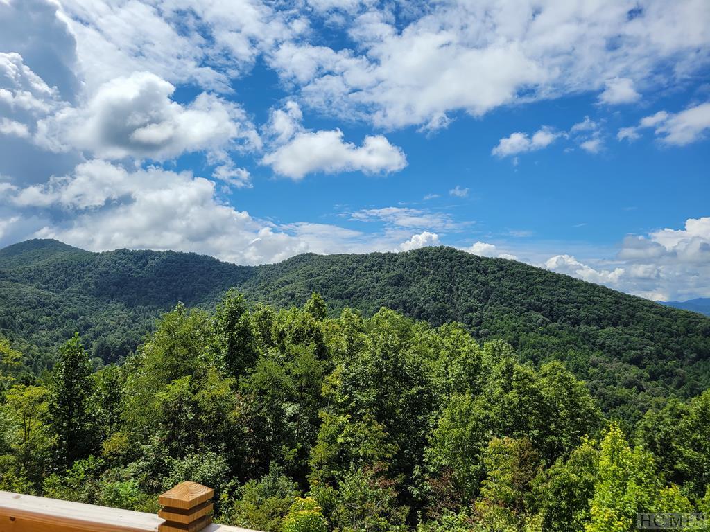 209 Cloud Dancer Ridge Franklin, NC 28734 - Photo 9 of 48 Gallery Image 9