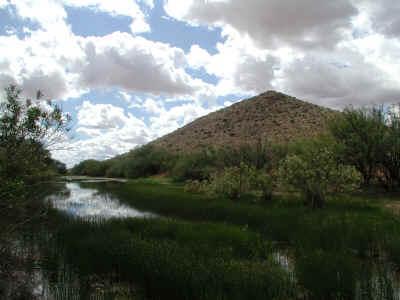 0 Hwy191 & Pearce(ranch) Road Pearce, AZ 85625 - Photo 4 of 4