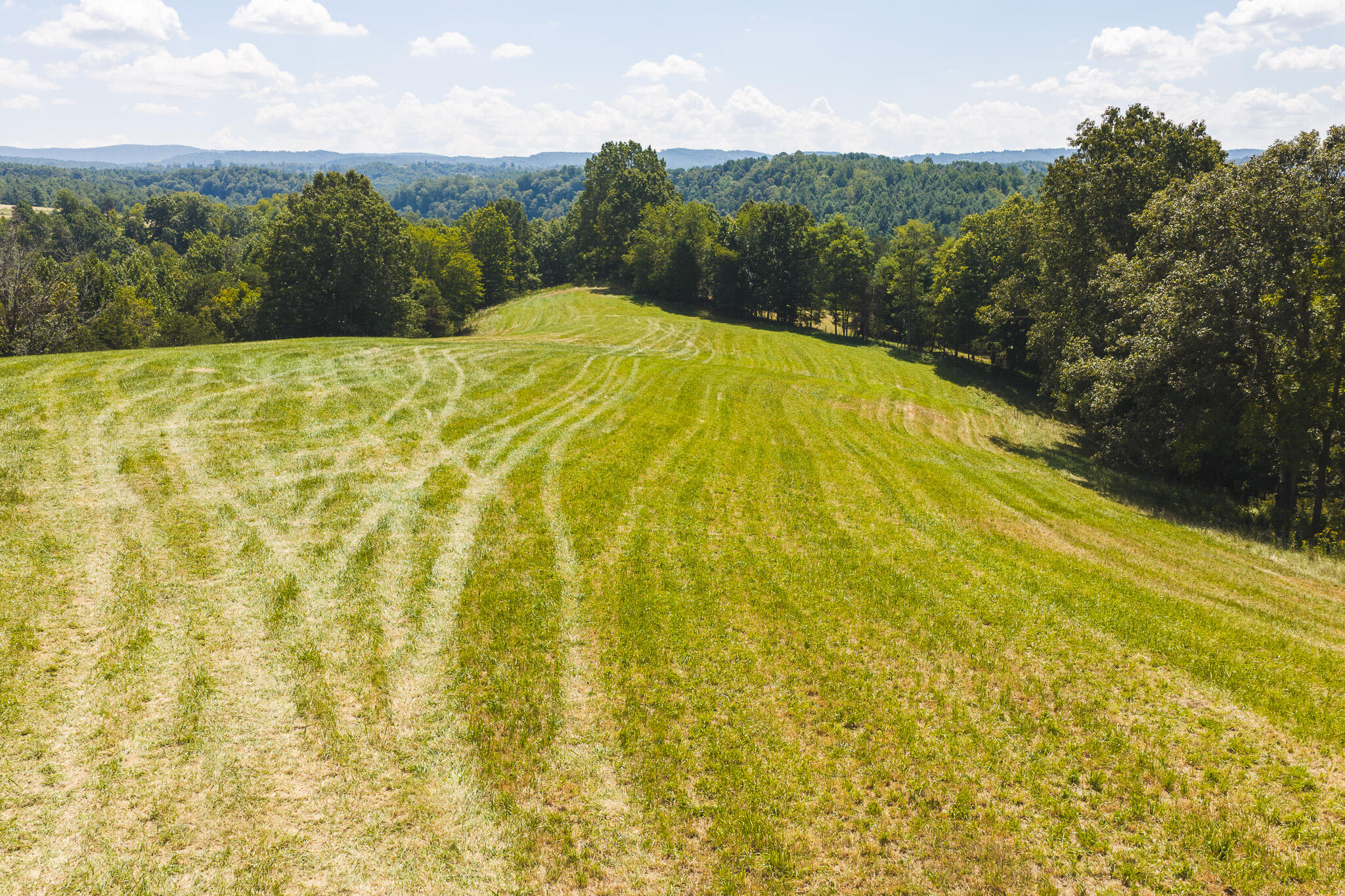 5902 Chestnut Ridge Road Riner, VA 24149 - Photo 6 of 50 DJI_20260903133351_0943_D