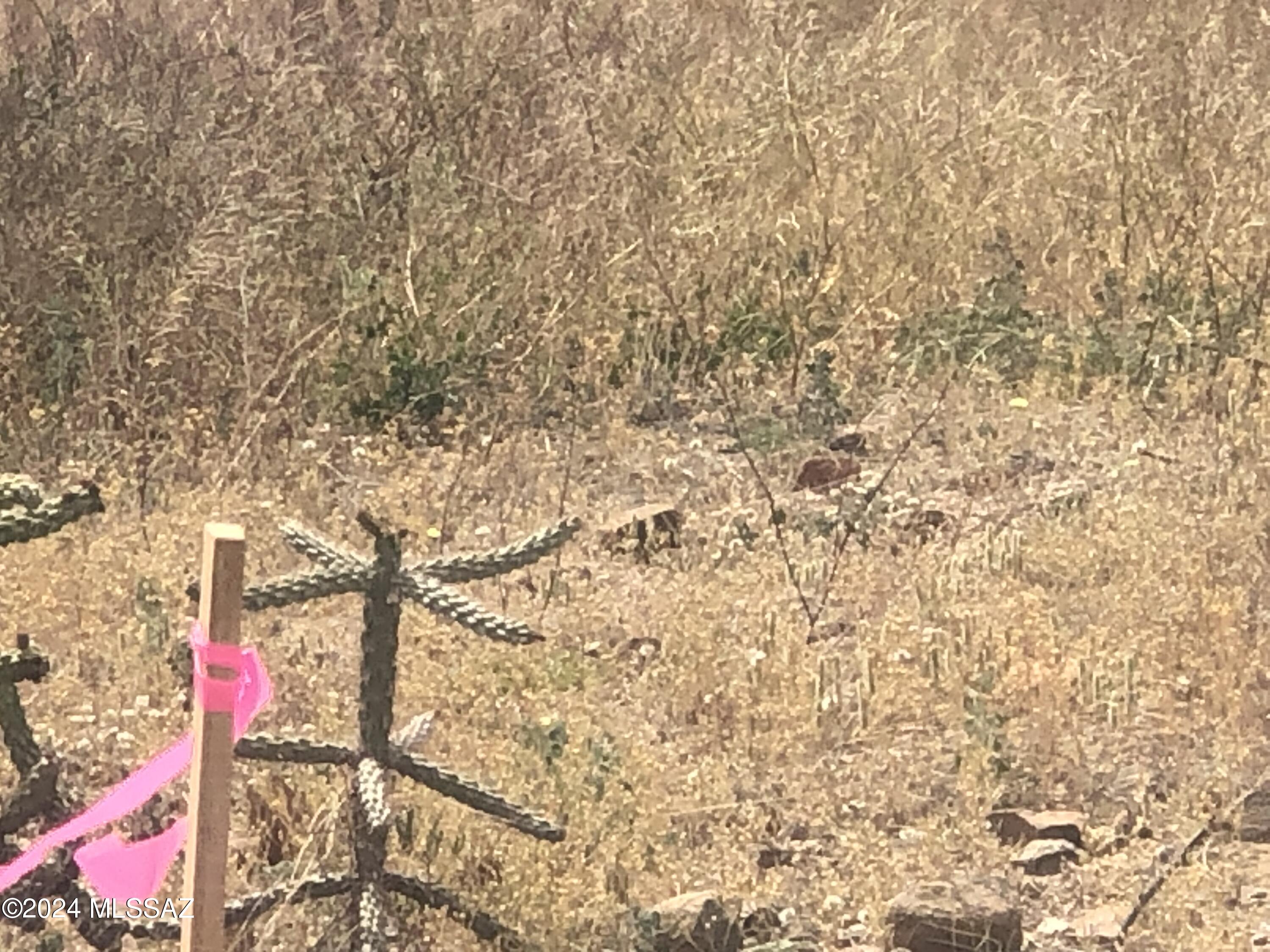 1072 Vereda Guadalajara, Unit 19 Rio Rico, AZ 85648 - Photo 13 of 13