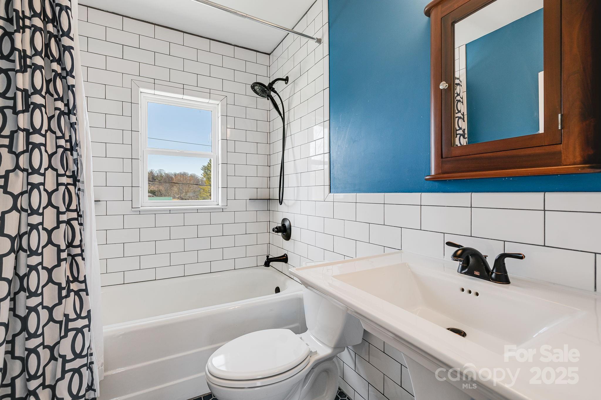 4243 Old Clyde Road Clyde, NC 28721 - Photo 25 of 37 a bathroom with a sink a toilet and bathtub