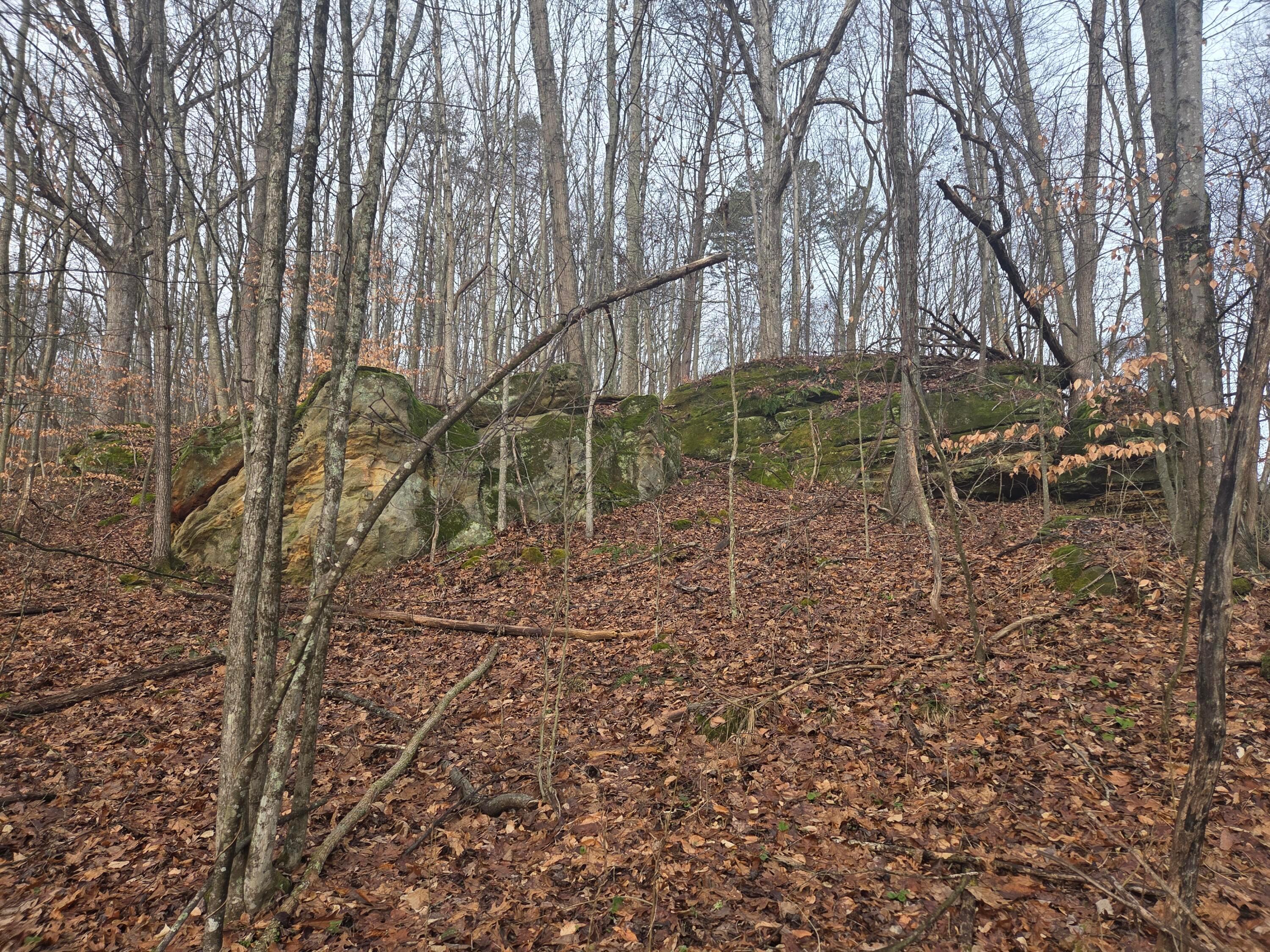 12001 West Buck Run Road Rockbridge, OH 43149 - Photo 2 of 12