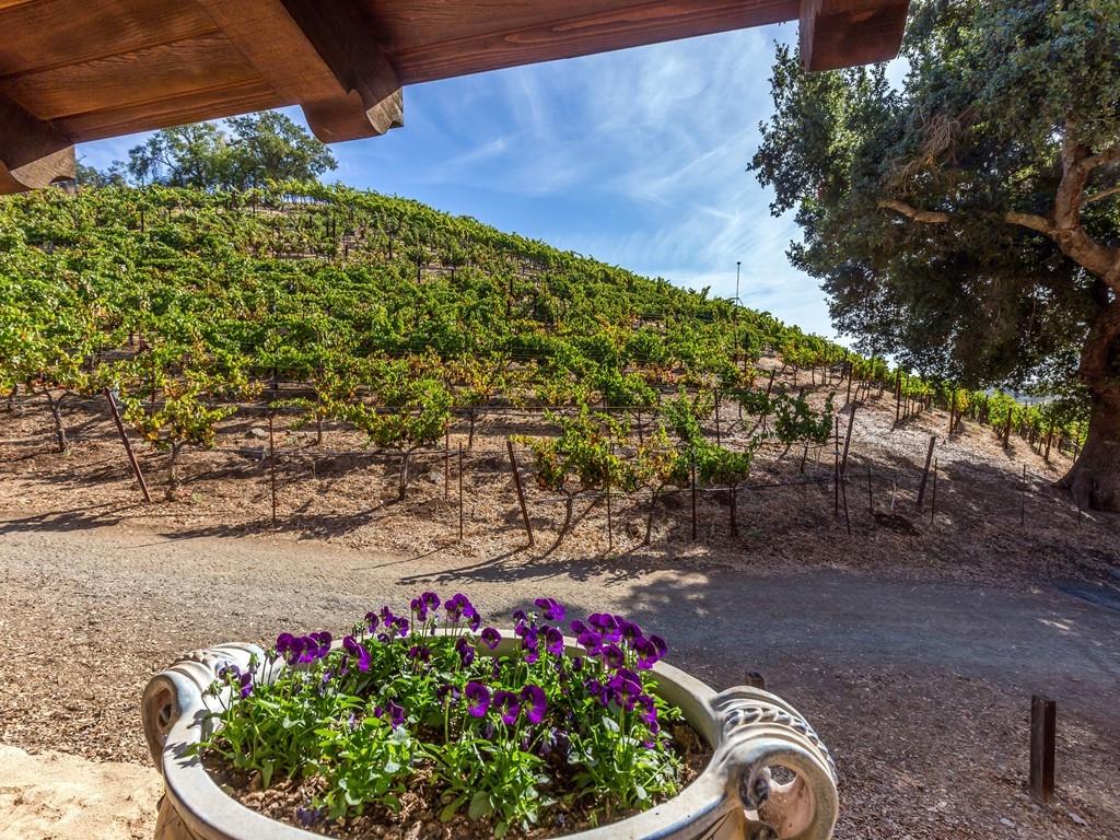 2900 Soma Way Gilroy, CA 95020 - Photo 27 of 61 a view of a garden with a flower garden