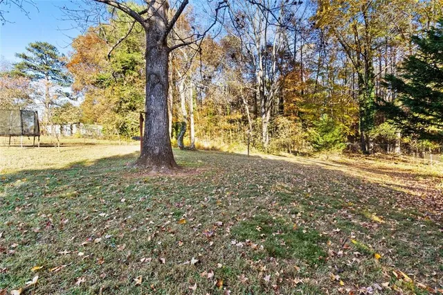 a view of a yard with plants and trees