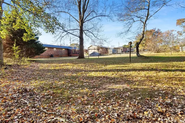 a view of a large yard with large tree