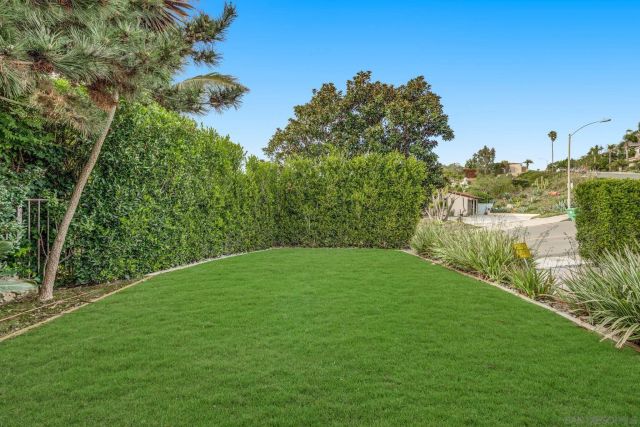 a view of a yard with a tree