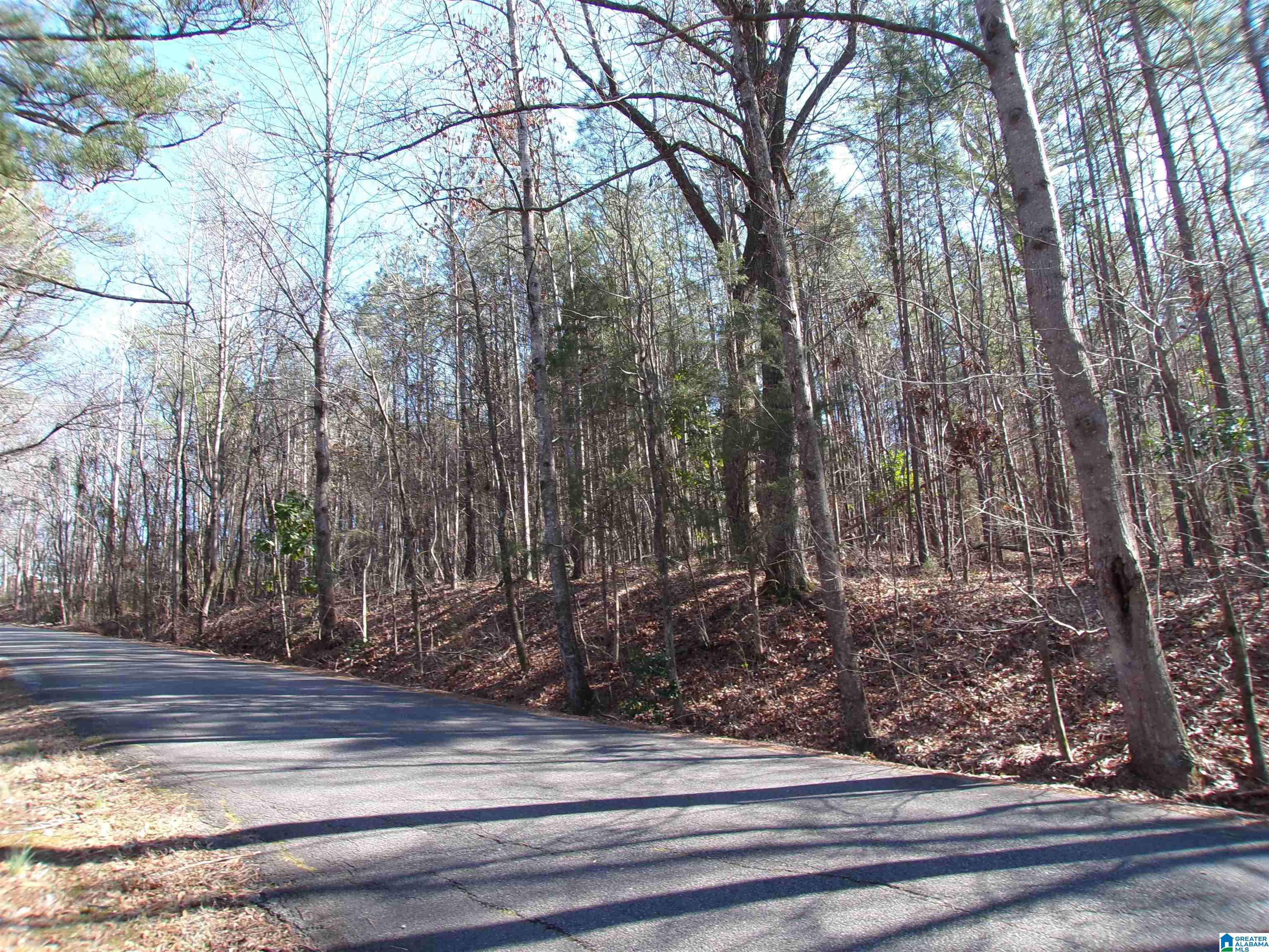 0 Arthur Drive, Unit 27 Weaver, AL 36277 - Photo 6 of 15
