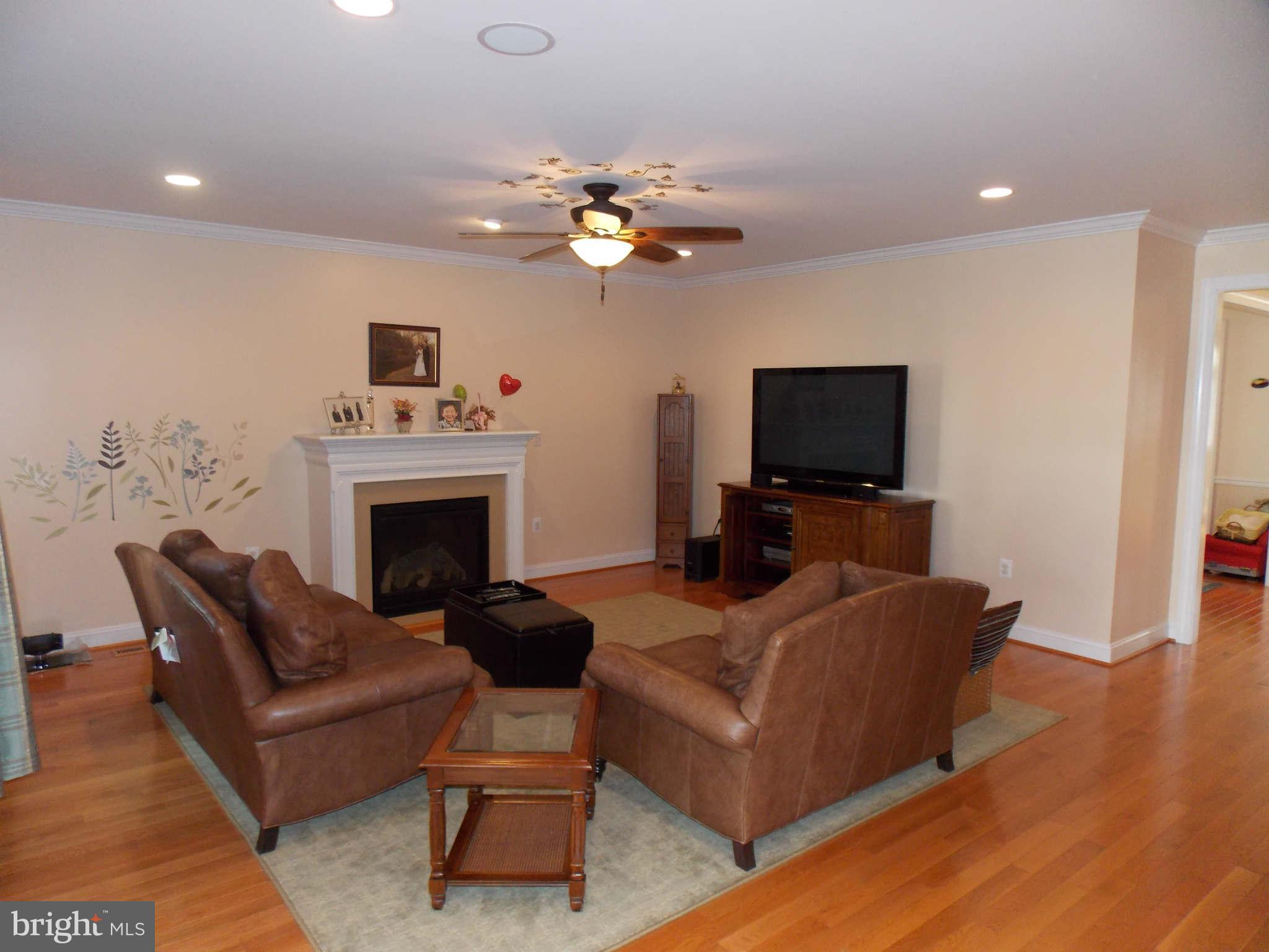 42456 Spring Splendor Drive Ashburn, VA 20148 - Photo 16 of 30 Family Room